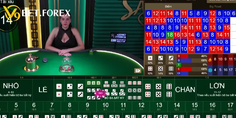 Tầm quan trọng của mẹo chơi tài xỉu V9BET